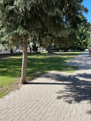 Прикрепленное изображение: парк.jpg